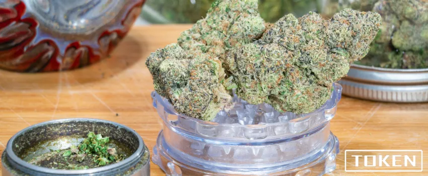 THC - Cannabis flower