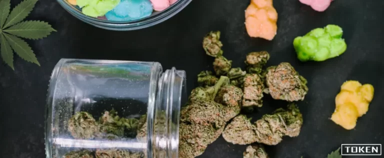 THC - THC gummies and marijuana displayed on a table